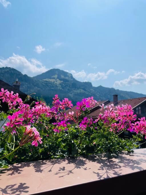 Berge, Wandern, Erholung Pur! Fewo Tinka-Haus Katja 巴特欣德朗 外观 照片