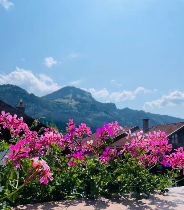 Berge, Wandern, Erholung Pur! Fewo Tinka-Haus Katja 巴特欣德朗 外观 照片